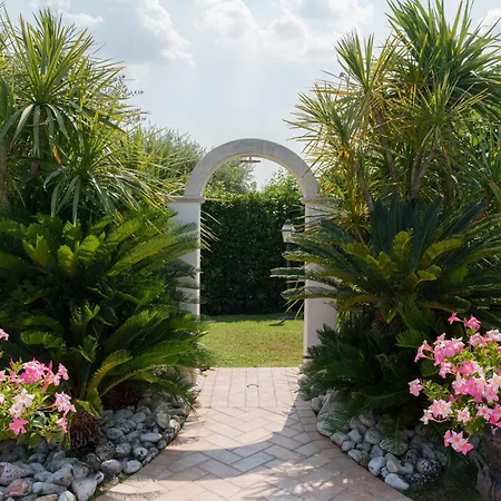 Elena Villa