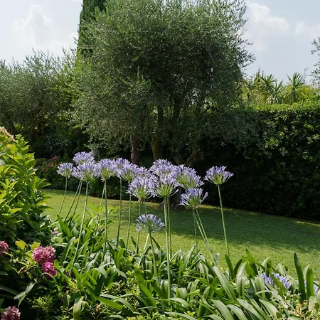 Elena Villa *