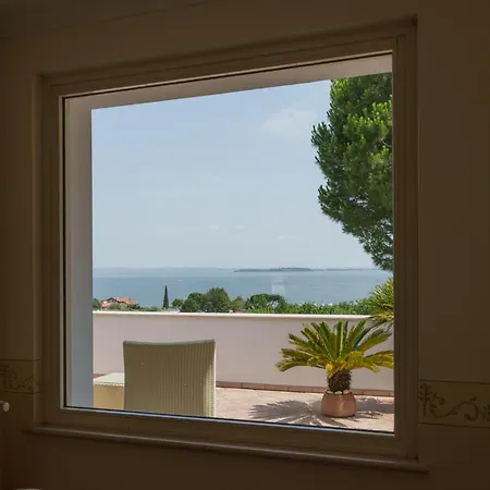 Elena Villa *