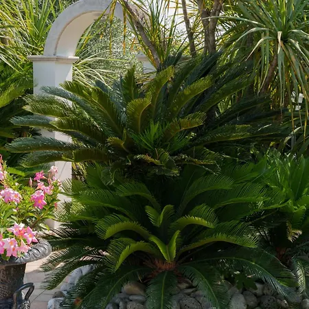 Elena 别墅 Moniga del Garda