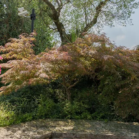 Elena Moniga del Garda