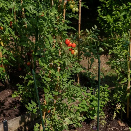 Elena Βίλα Moniga del Garda